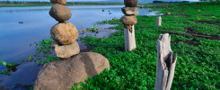 Suy nghĩ về cái khổ